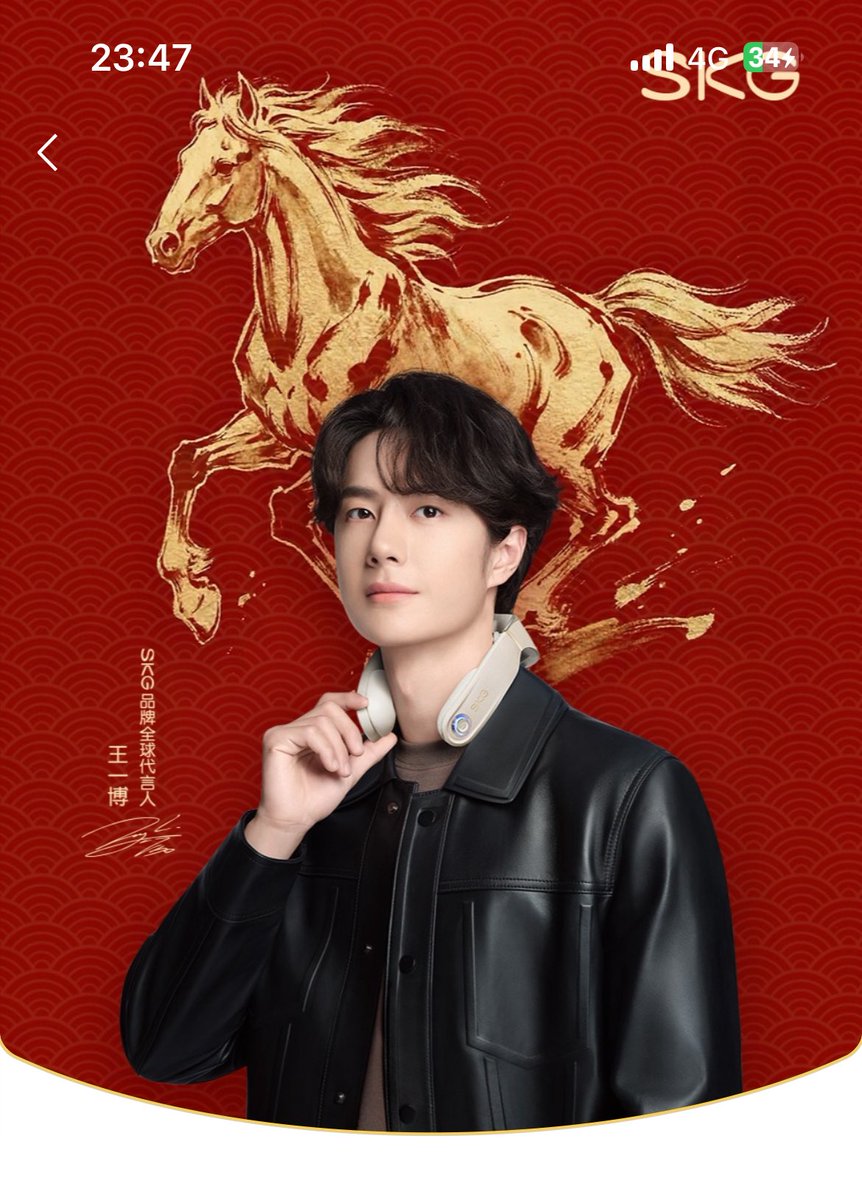 hanabiさん　専用　王一博 爆裂王子 No300 | 打ち上げ花火 | eはなびやさん│圧倒的な品揃え