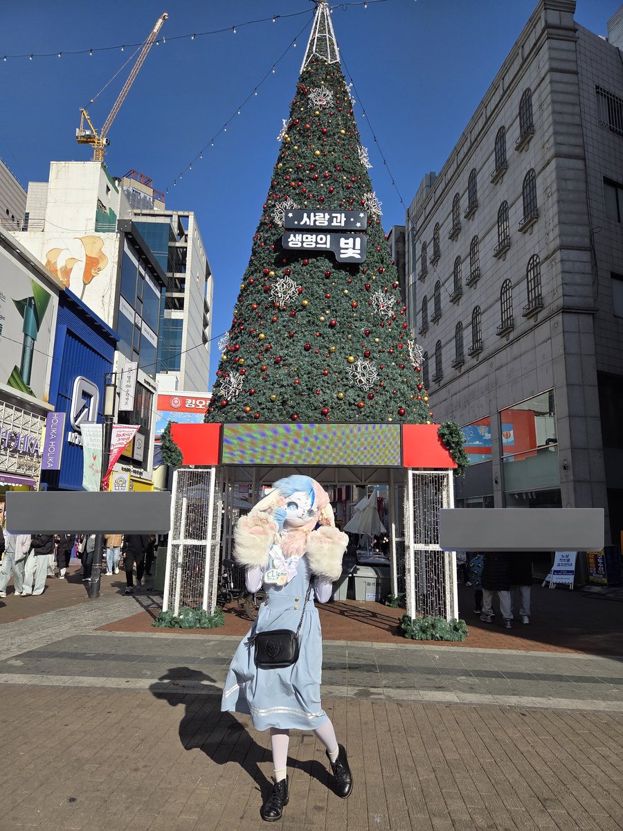 26올해도 사랑하고 행복하세요 트친님들!!!🥰