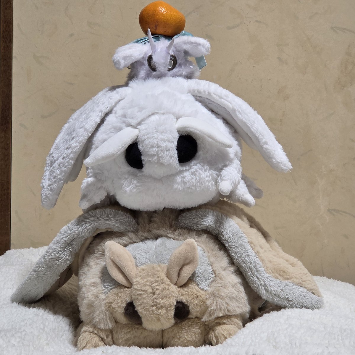 mosmosnn's tweet photo. あけましておめでとうございモス！！ https://t.co/XE5PaSAurn