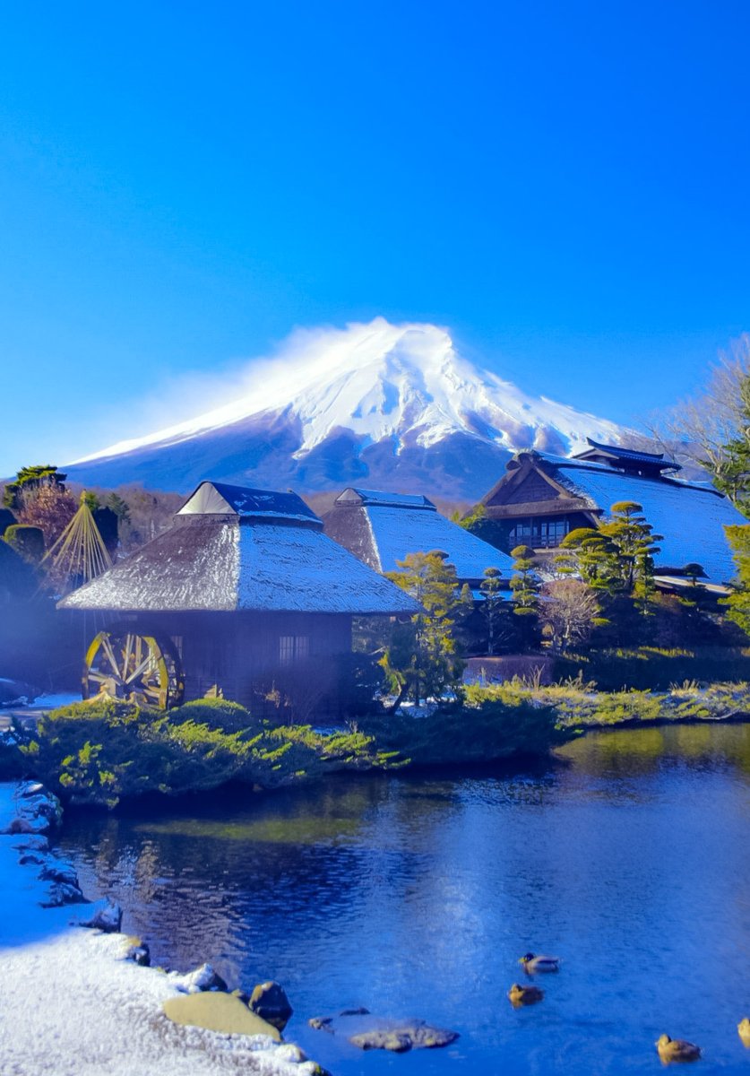 ひでき@天まで届け❗大吉パワー🎵🐼🎵 tweet media