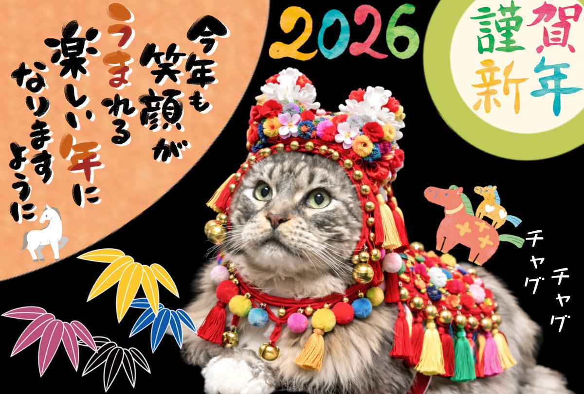 maine_coon tweet media