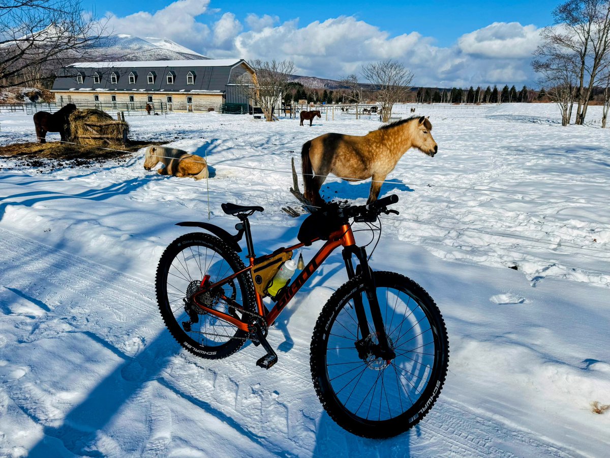 pikacycling@ (@PikaCycling) / Posts / X