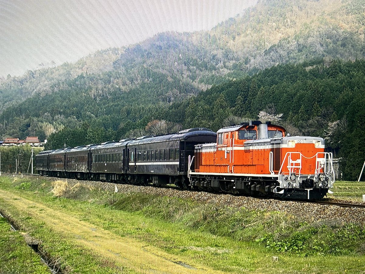 大福 t013-090-s-230519.jpg