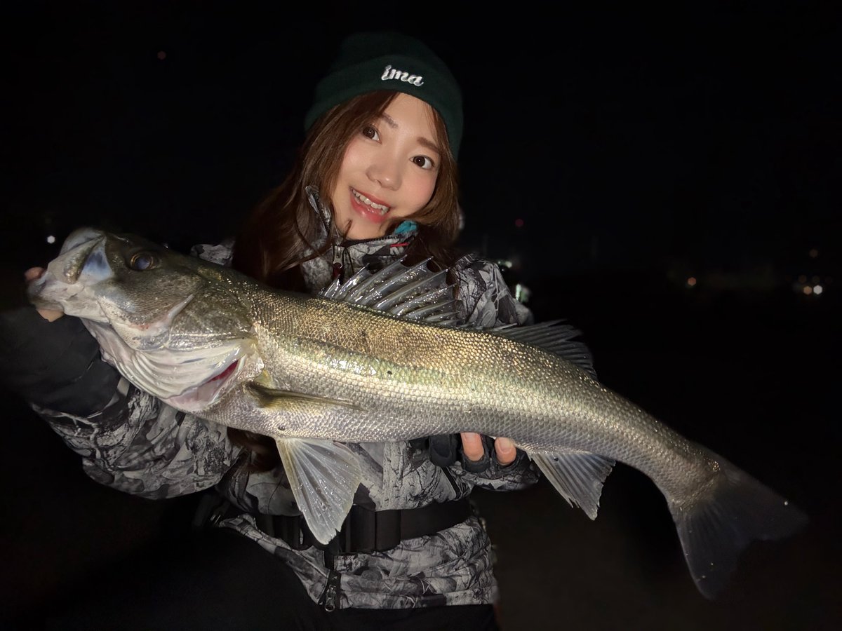 あかねん🎣☾ (@koakanen) / Posts / X