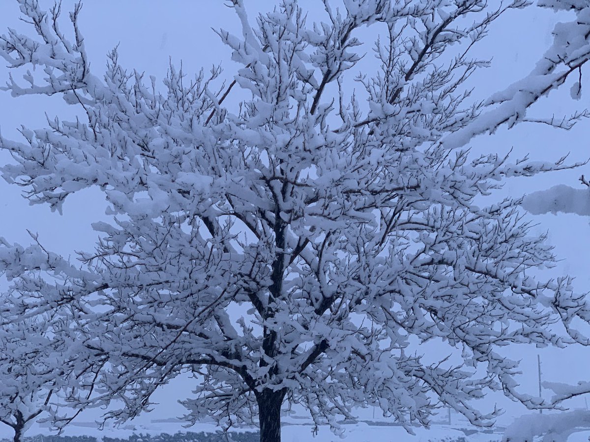 #Kar Sur -  Diyarbakır  📍