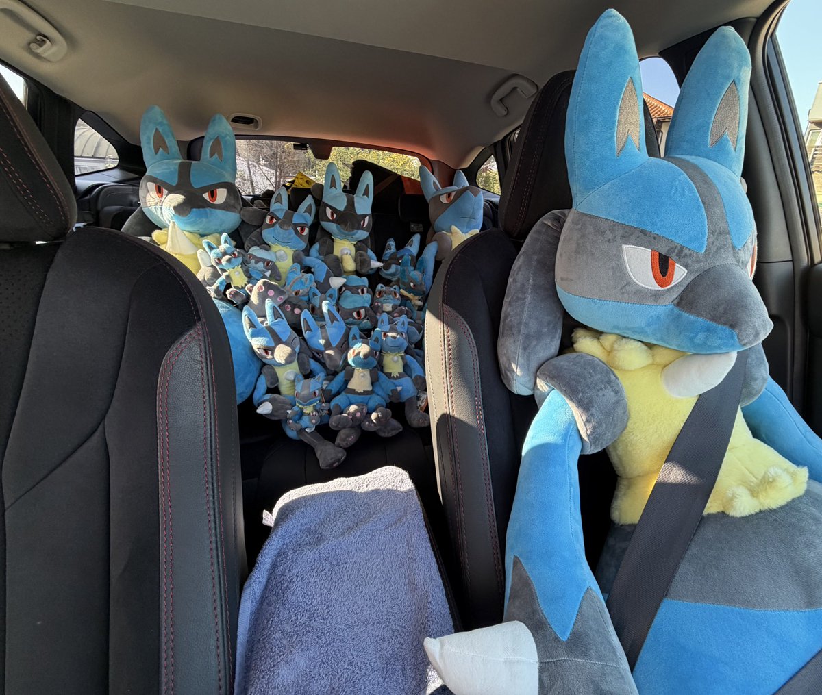 Nokia_448's tweet image. 今年はルカリオ生誕20周年や引越しなど様々なな出来事がありましたが、たくさんの反響をいただきありがとうございました😊
来年も、どうぞよろしくお願い致します✨