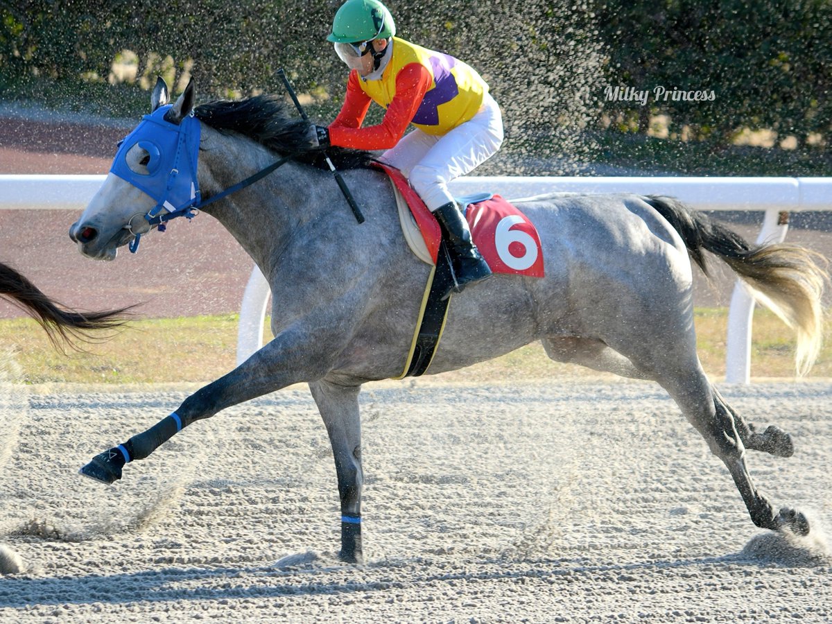 金船 (@0306mailbox) / Posts / X