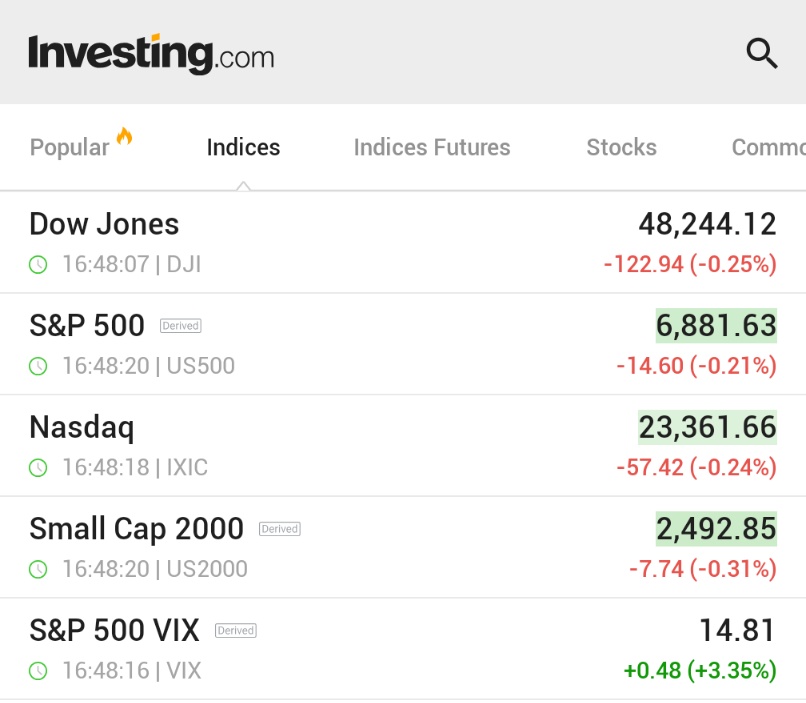 🚨 INVESTING : "Wall Street apre in calo, ma il VIX schizza mentre si prevede un guadagno a doppia cifra per il 2025"