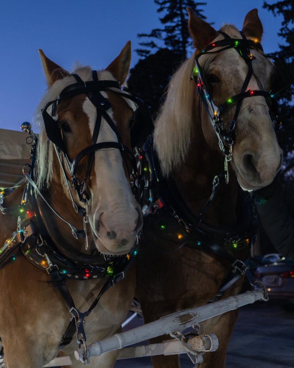 Lourdes University tweet media