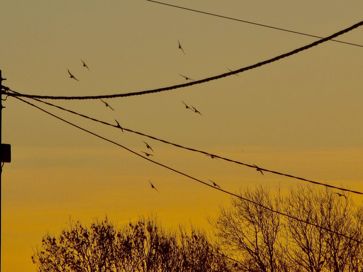 Sunrise this morning from Waterbeach, temperature 1°c…