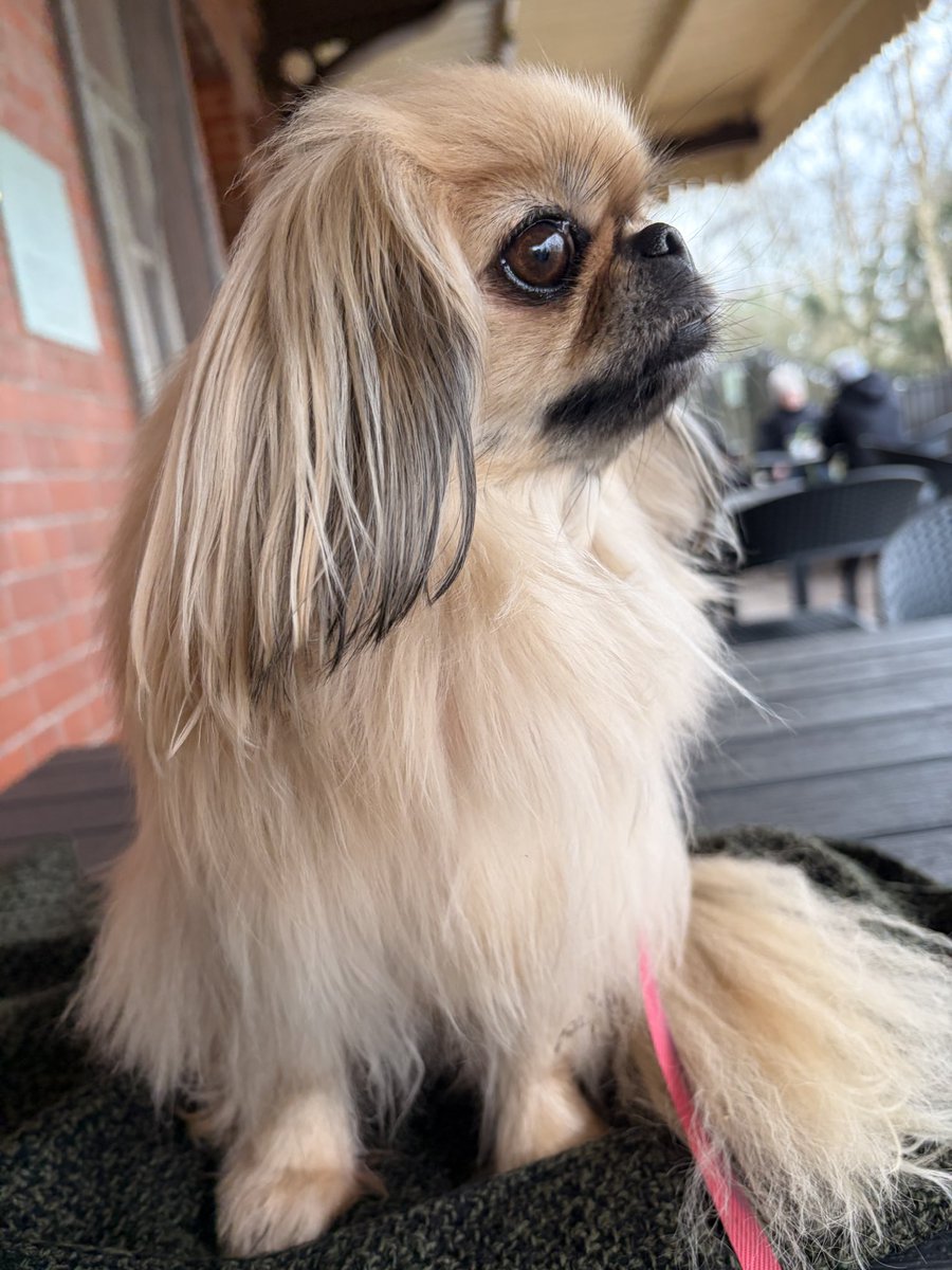 Puss Puss & Dottie ..Titch & Rupe OTRB tweet media