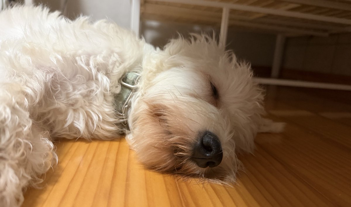 ニート部 フェス PUS1 この@あ ニート部 フェス PUS1 この@あ この＠あ (@kon0_a) / Posts and