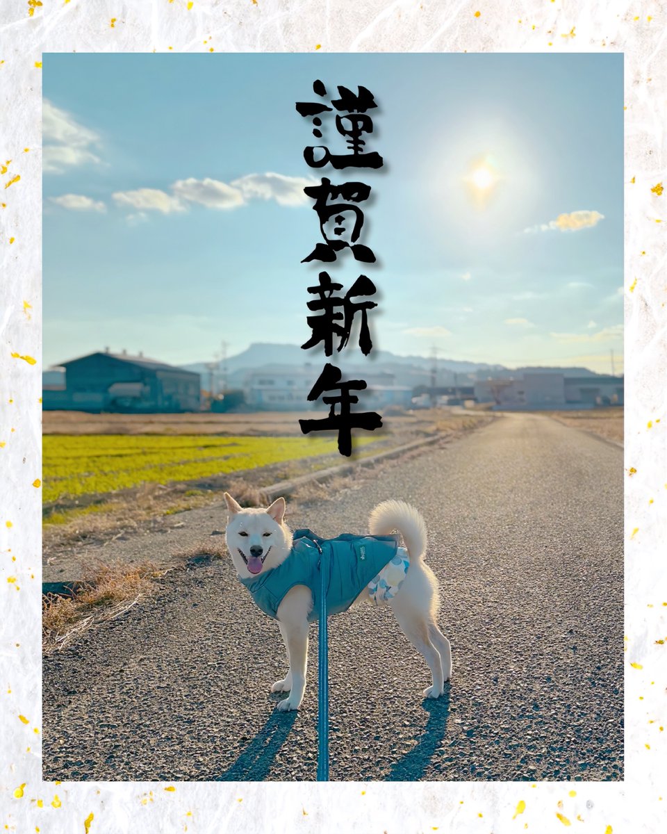 イエローメビウス (@222carton) / Posts / X