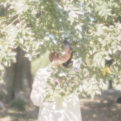 新しいプロフィール画像