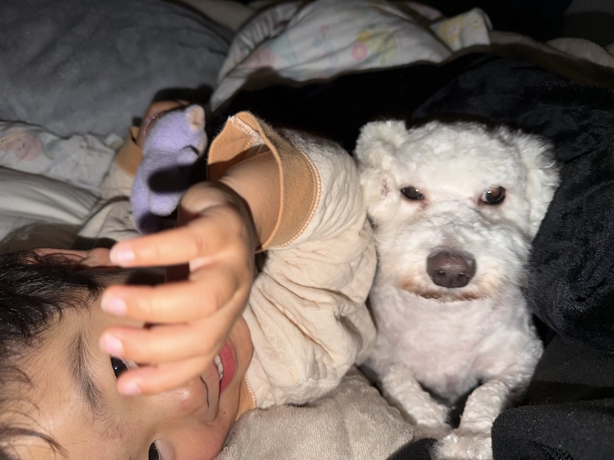 ドラちゃん。Games (@doratyan9372) / Posts / X