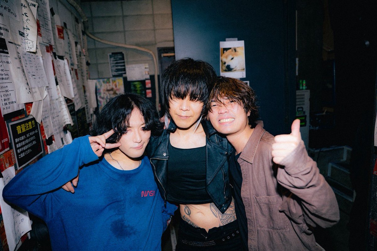 CAT ATE HOTDOGS (@CatAteHotdogs) / Posts / X