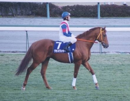 keiba_info_club's tweet photo. 今年亡くなったことが発表された元・現役競走馬

ご冥福を心からお祈り申し上げます。

ジェンティルドンナ　16歳
リバティアイランド　5歳
グラスワンダー　30歳
ハルウララ　29歳
アオラキ　5歳
ツルマルボーイ　27歳
ミリアッドラヴ　3歳
トウカイポイント　29歳
ヤマカツリリー　25歳
エイシンデピュティ　23歳
アンライバルド　19歳
メイショウマンボ　15歳
ダノンシャンティ　18歳
タイキポーラ　29歳
エイシンプレストン　28歳
タイキフォーチュン　32歳
ジャンダルム　10歳
ロージズインメイ　25歳
フレンチデピュティ　33歳
ファストフレンド　31歳
アイアンバローズ　8歳
ポップロック　24歳
デザインズオンローム　14歳
ポッセ　25歳
プロヴィナージュ　20歳
サイドワインダー　27歳
ヴェルトライゼンデ　8歳
マックロウ　28歳
スニッツェル　22歳
マイネルウィルトス　9歳
エモシオン　30歳
ダノンバラード　17歳
ルスナイクリスティ　27歳
ワイルドワンダー　23歳
トゥルーシャン　9歳
クーリンガー　26歳
プレミアムボックス　22歳
キョウエイギア　12歳
マイネルネオス　22歳
ラグストゥリッチズ　21歳
インビクタ　9歳
クワイトファイン　15歳
🇮🇪ブラックステアマウンテン　20歳