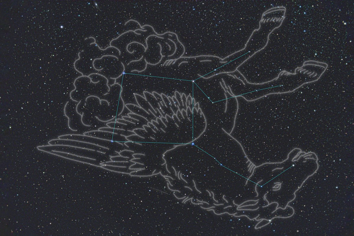 HIROPON (@hiropon_hp2) / Posts / X