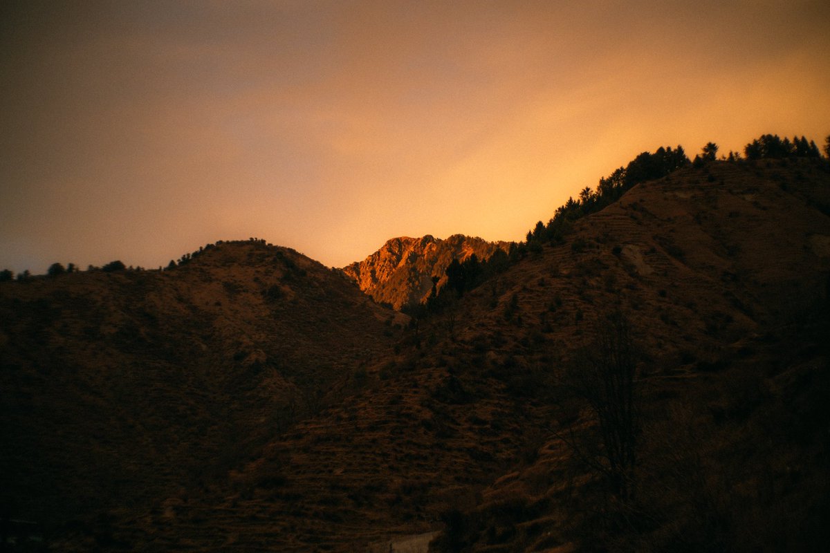 Debjit Banerjee tweet media