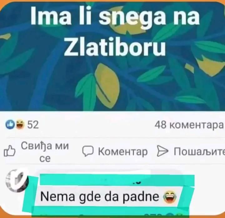 antickifilozof's tweet image. 