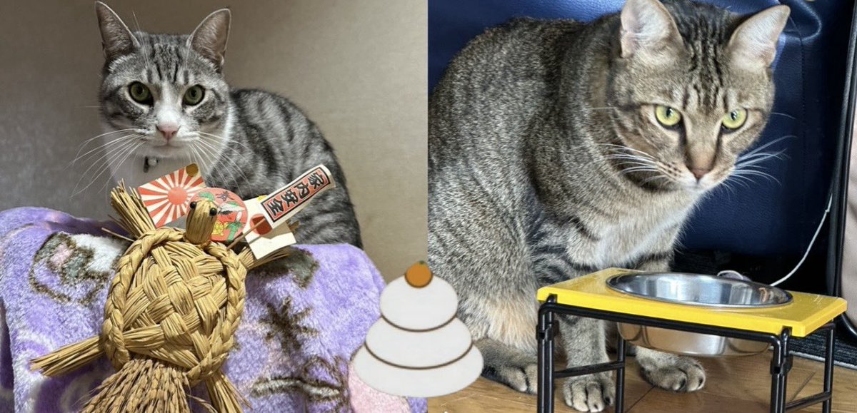 𝐻𝑎𝑝𝑝𝑦𝑁𝑒𝑤𝑌𝑒𝑎𝑟  🎍                                                     

いつも応援してくれてるリスナー様 昨年は、みんなのおかげで素敵な一年になりました(*ˊᵕˋ*)
楽しい時間を過ごせて嬉しかったです✨
今年も仲良くしてください🙇‍♀️