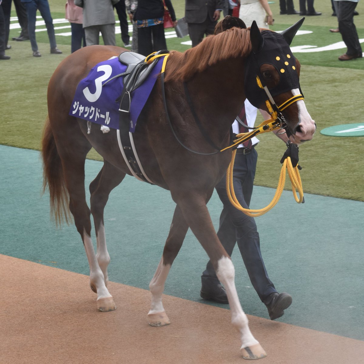 明けましておめでとうございます🐎
みんなたち会いたいよ！