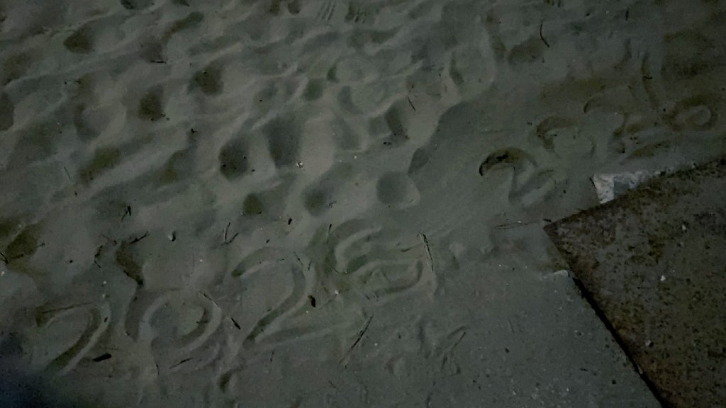 あけおめことよろ何卒よろしく。