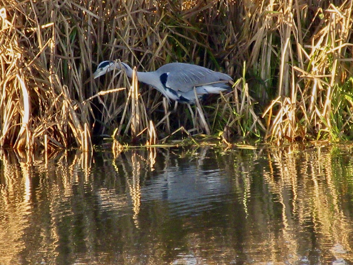 From this morning at Waterbeach…<a href="/StormHour/">#StormHour</a>