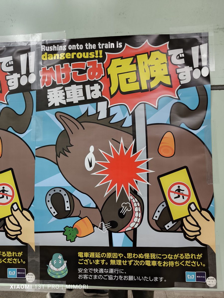 ほたる (@x3657yama) / Posts / X