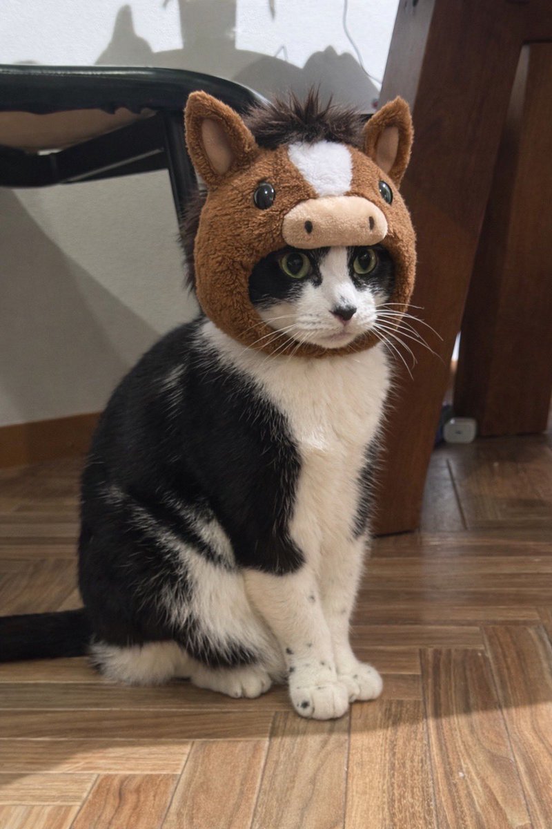 あけましておめでとうございます☻
今年もよろしくおねがいいたしますヒヒン！！