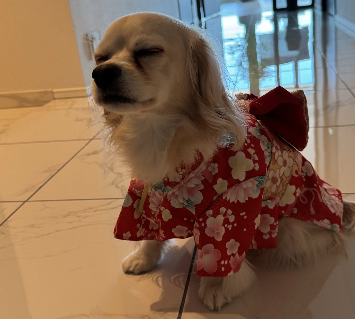 あけましておめでとうございます！