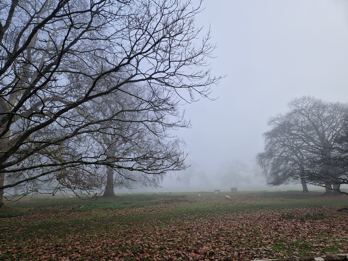 Vicky_Freeman's tweet image. A misty New Year's Eve visit to Montacute House