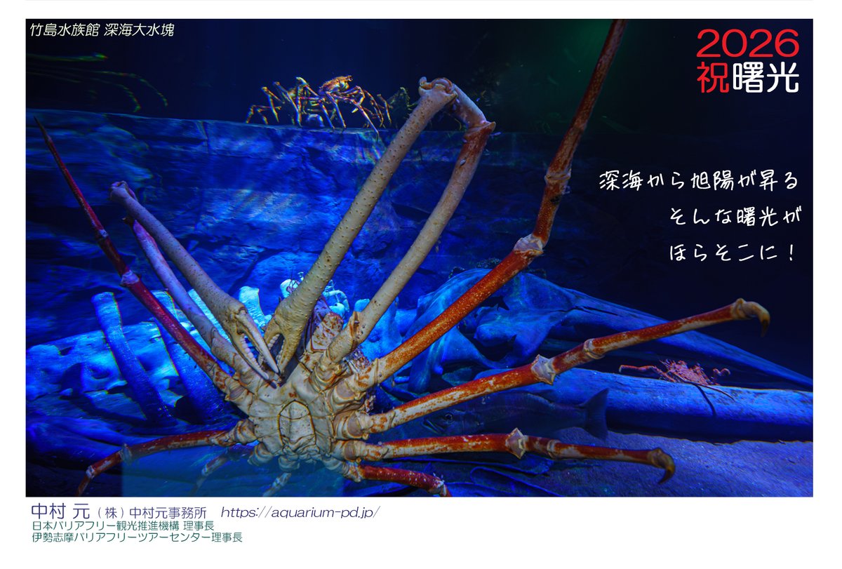 明けましておめでとうございます。今年の年賀状は竹島水族館の深海大水