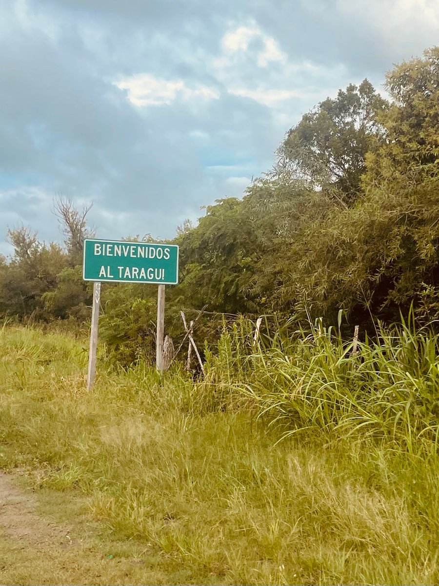 Tomas Pando (@tomaspando) on Twitter photo 