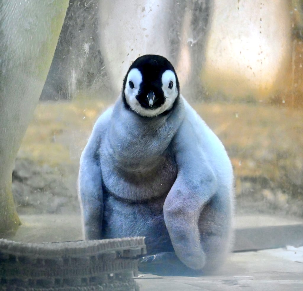 彩浜 (@pearl_kazu) / Posts / X