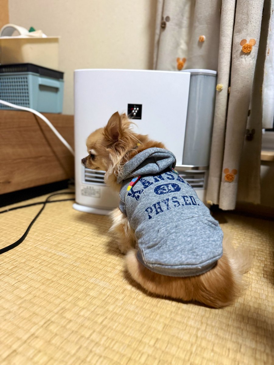 コジリン🎸 (@cozyageha) / Posts / X