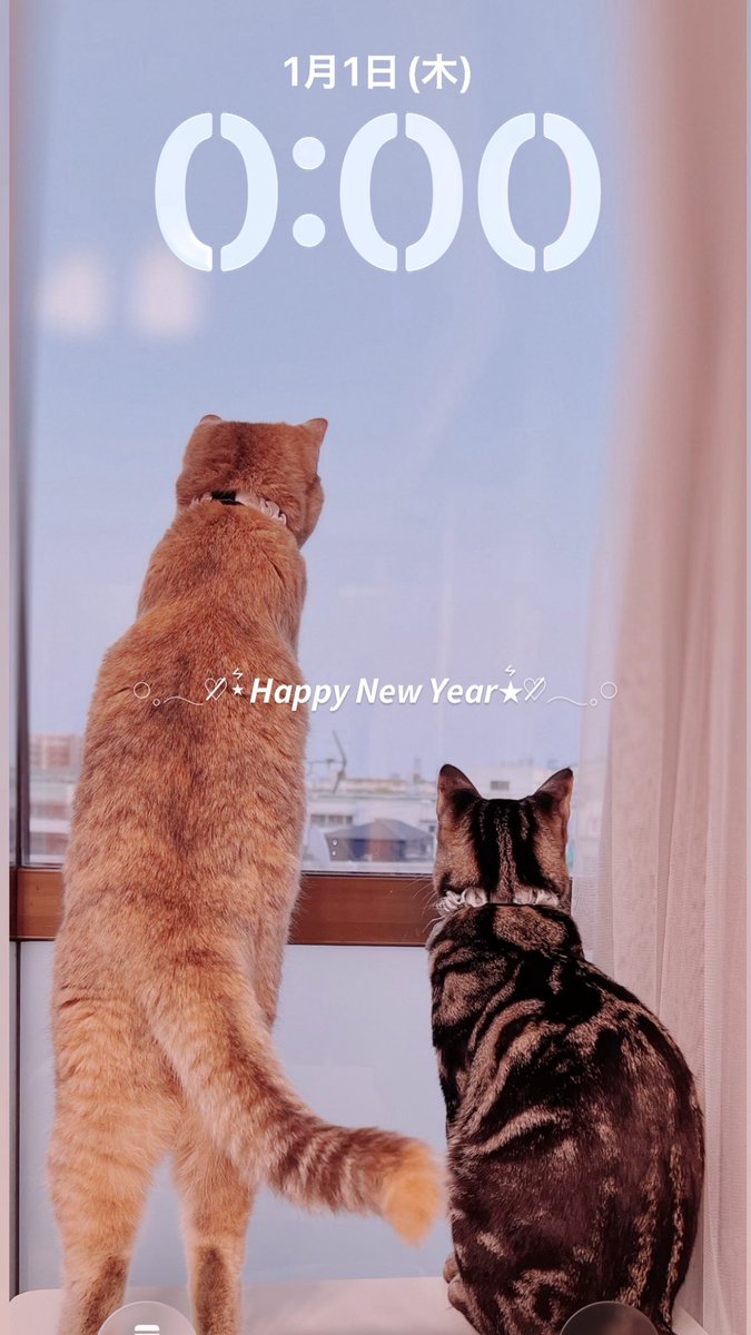 はせがわるん。🐱🪽ྀི tweet media