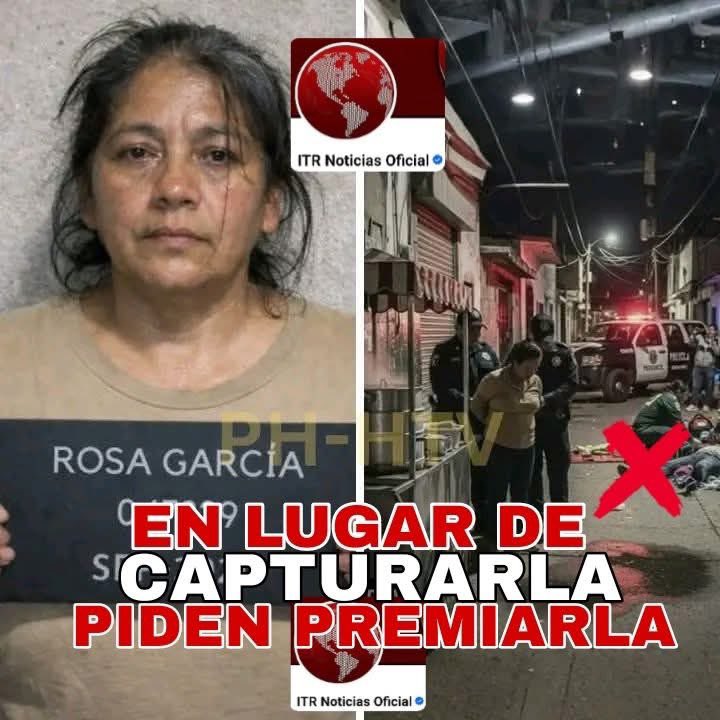 VENDEDORA DE TAMALES ENVENENA A MÁS DE 12 EXTORSIONADORES.

Cansada de pagar cuotas de renta cada viernes a los delincuentes. Rosa Garcia se la ingenió para vengarse de los mafiosos qué pertenecian a la organización CRIMINAL Union Tepito en México.

Cada viernes llegaban a su
