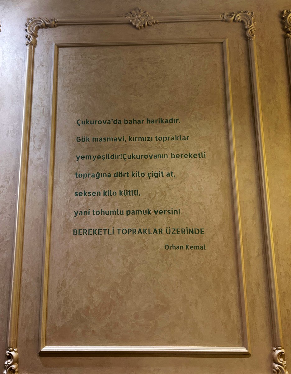 Veronika 🧚🏻‍♀️ tweet media