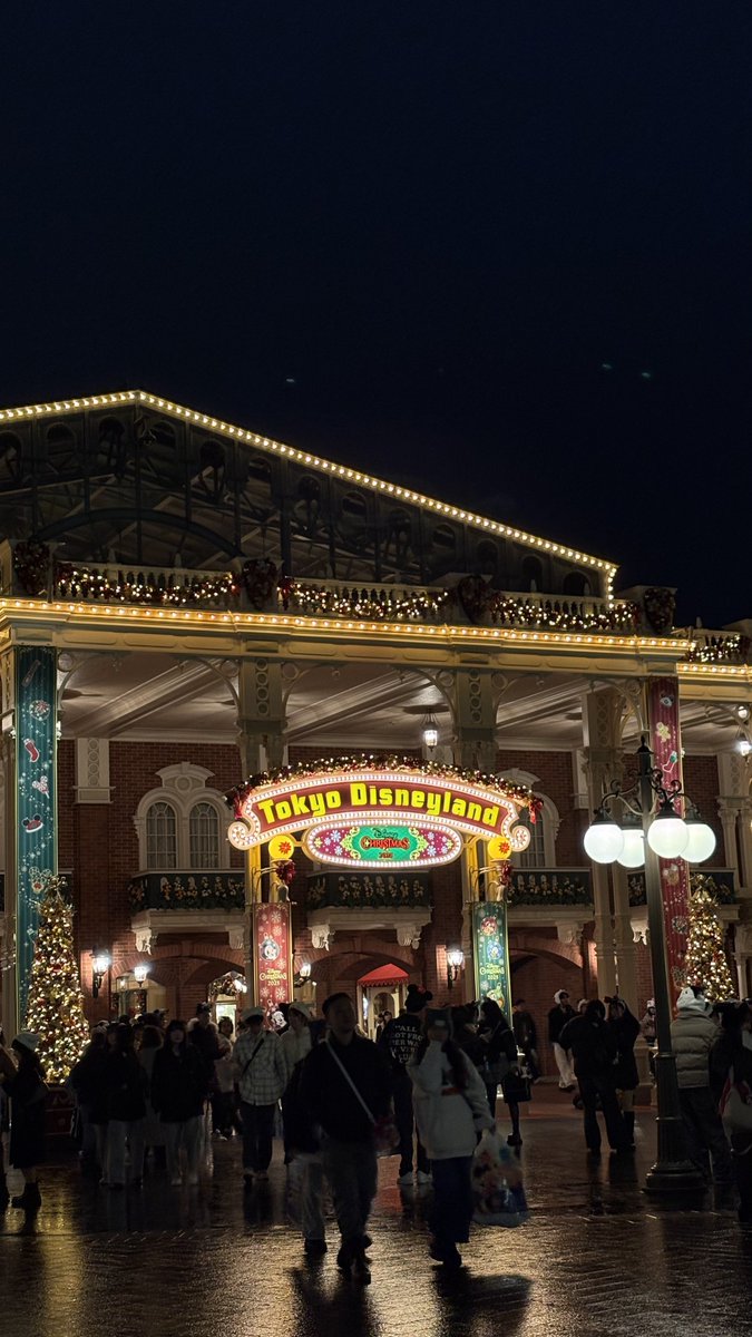 クリスマスディズニー楽しかった