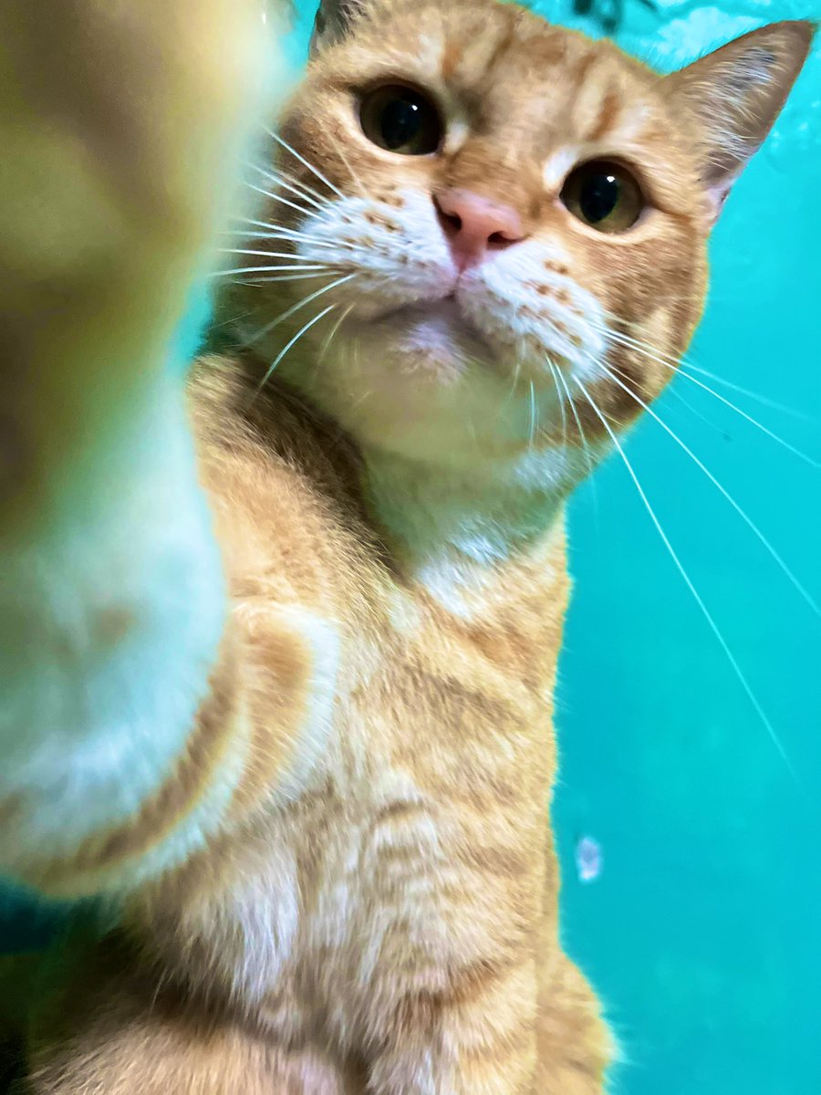 peruting's tweet image. happy new year 👍