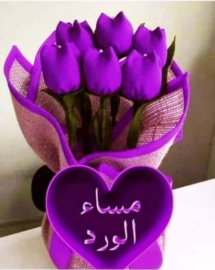 🍓᯽⊱┈─ 💐🌹❊🌹💐─┈⊰᯽
┊<a href="/Fhym30/">🕊🦋 ᕙ( • فـ░ـهّيـ░ـمـ░ـ • )ᕗ @fhyii_1</a>
❊┈⊰᯽
┊<a href="/nor4rh/">💥Nor elrhman💥</a>
❊─┈⊰᯽
┊<a href="/abdaljaparnaser/">يمني يحب وطنه</a>
❊─┈⊰᯽
┊<a href="/noora_omryan/">noora</a>
❊─┈⊰᯽
┊<a href="/66iqj/">الترند Jamal's support welcomes you</a>
❊─┈⊰᯽
┊<a href="/swdmd42233/">ابن عمان</a>
❊─┈⊰᯽
┊<a href="/BdrAhmd40289/">بدر احمد</a>
 ❊─┈⊰᯽
┊<a href="/sohaila12366/">سُهيله✨</a>
❊─┈⊰᯽
┊<a href="/sohaila12366/">سُهيله✨</a>
 ❊─┈⊰᯽
┊<a href="/ChandShaik96369/">ظہیرالدین محمد بابر</a>