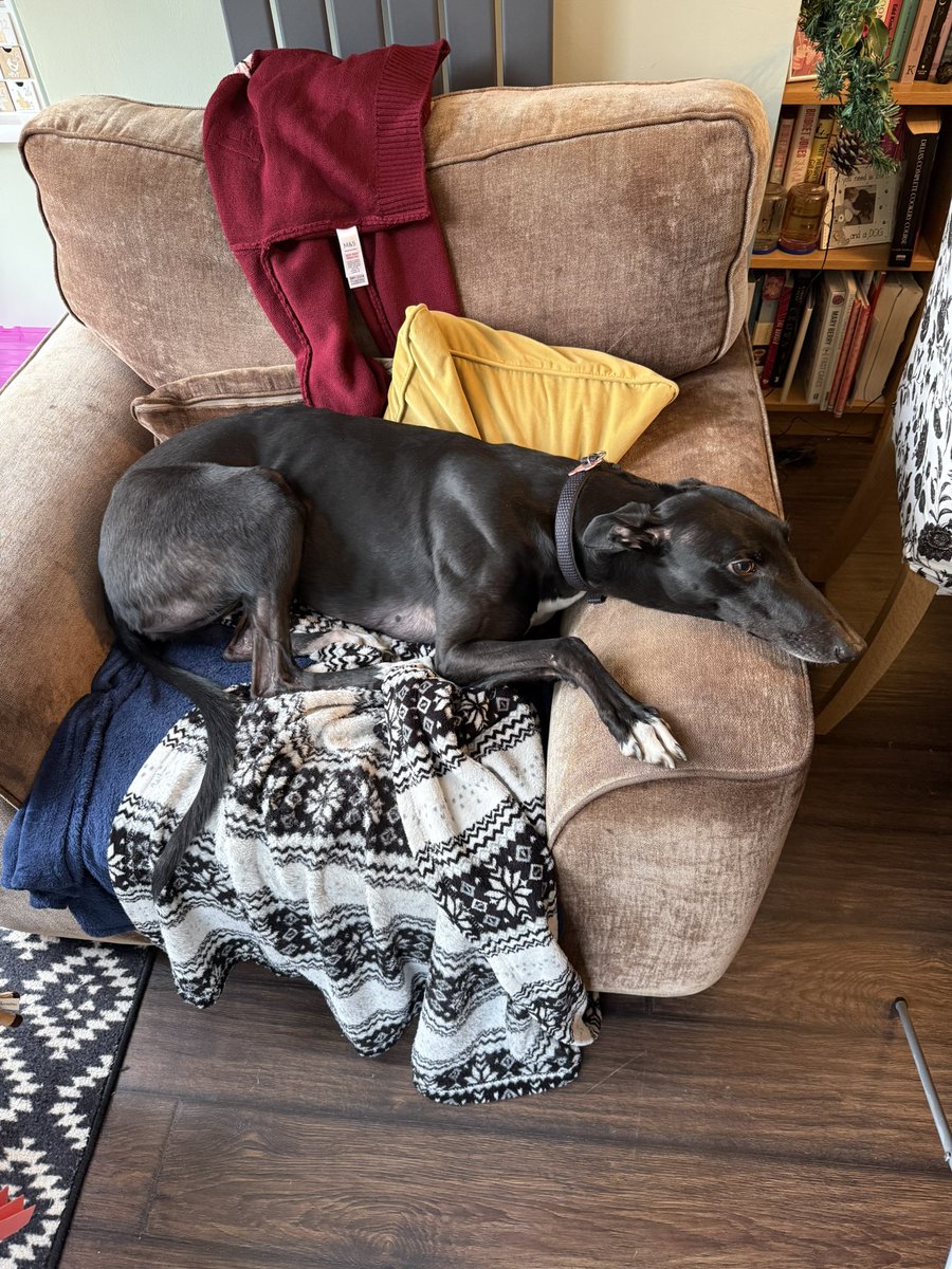 Loafy 🐝🐦🐾 tweet media