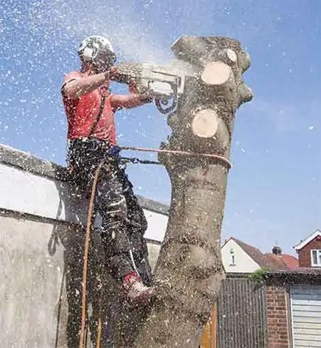 MaxValuesMag's tweet image. Up to $100 OFF* Tree Service from Falls Tree Experts - *Coupons @ buff.ly/XzJA4lb or call 440-543-1990 (We also offer Emergency Tree Service) #treeremoval #treeservice