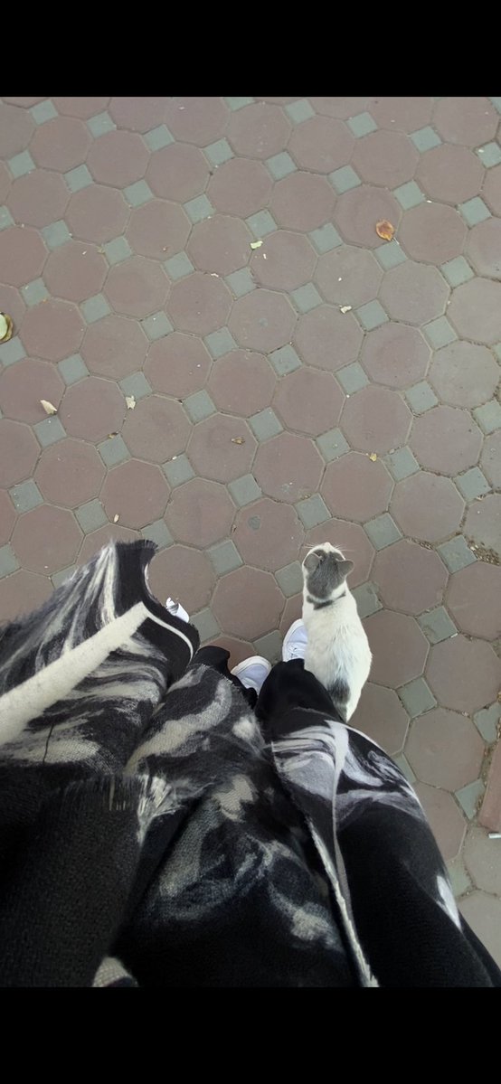 6aug1997's tweet image. طالعه امشي وانا متضايقه ونفسيتي خايسه 
جتني من بعيد تركض وكأنها مرسوله تواسيني 😢❣️❣️❣️❣️