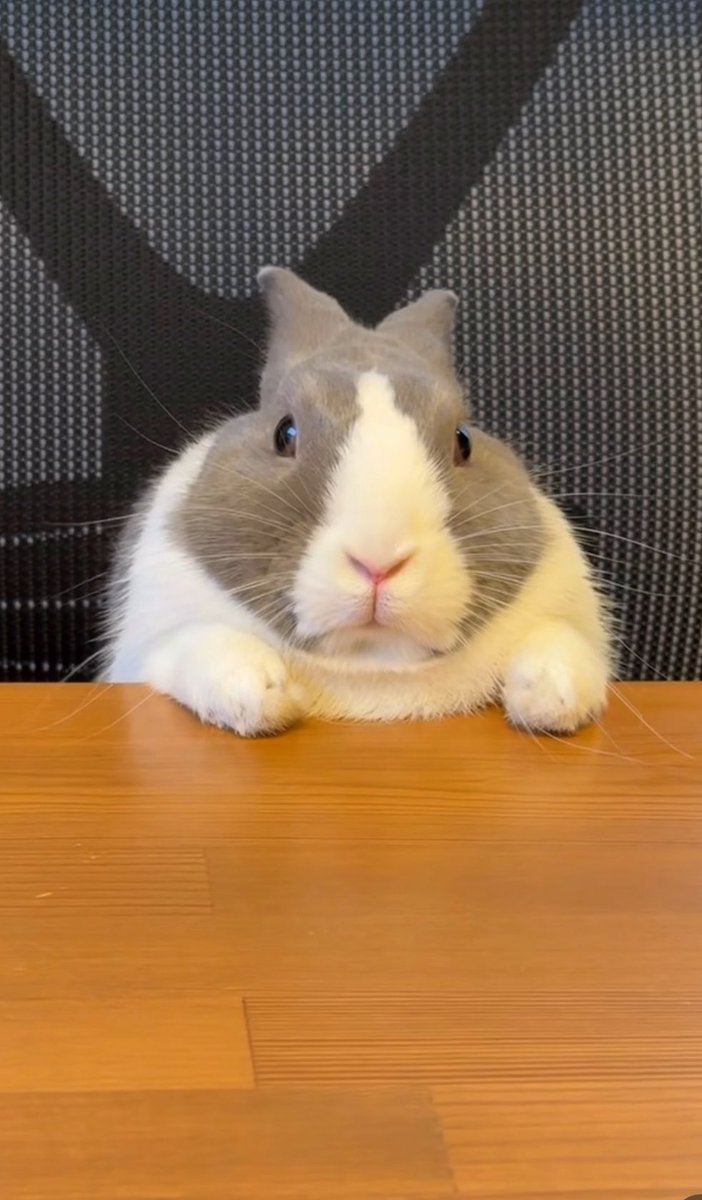 mikmyu10l05's tweet image. 明けましておめでとうございます🎍

今年もよろしくお願いします♬