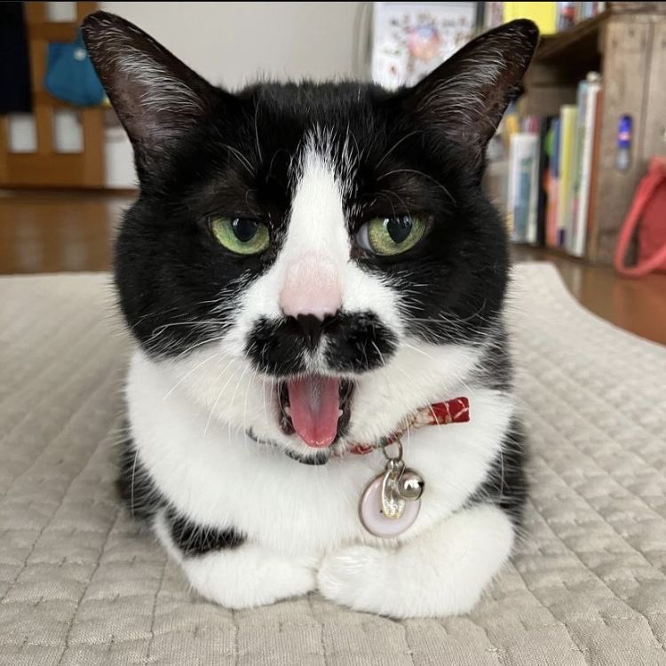 bbyunfirsty's tweet image. 