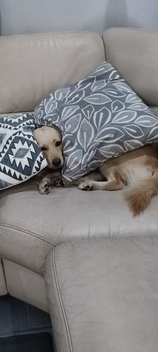 Paulo🇵🇭 tweet media