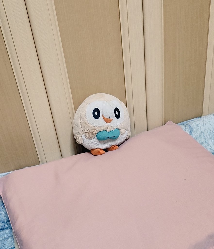 いんこ🍙 tweet media