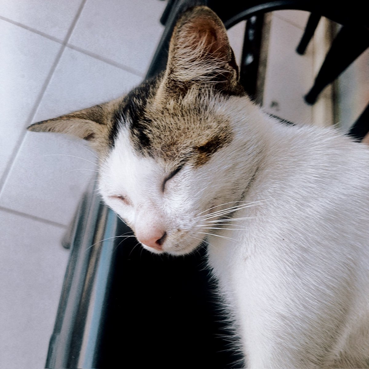 vaentrou's tweet image. 